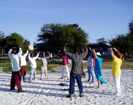 Falun Gong in Africa